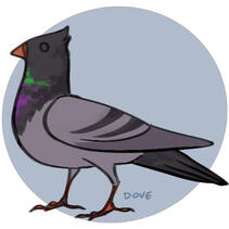 picrew dove